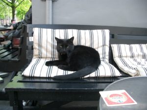 0891-bella van hegeraad