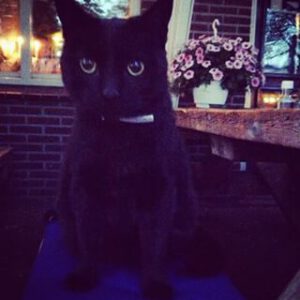 11357910_479706825530598_2001746244_n