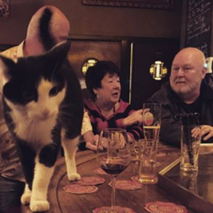 Schermafbeelding 2016-03-23 om 09.52.17