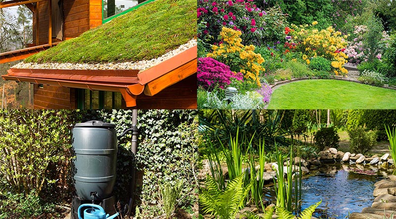 Intratuin: Zo krijg je een watervriendelijke tuin
