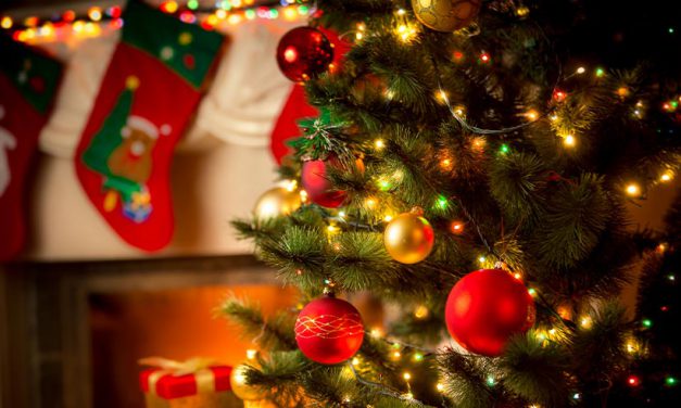 Intratuin: Alles over kerstbomen